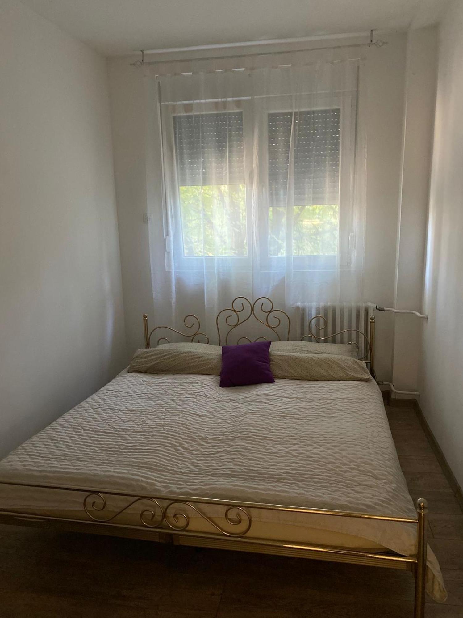 Vanja Apartman Vrsac Exterior photo