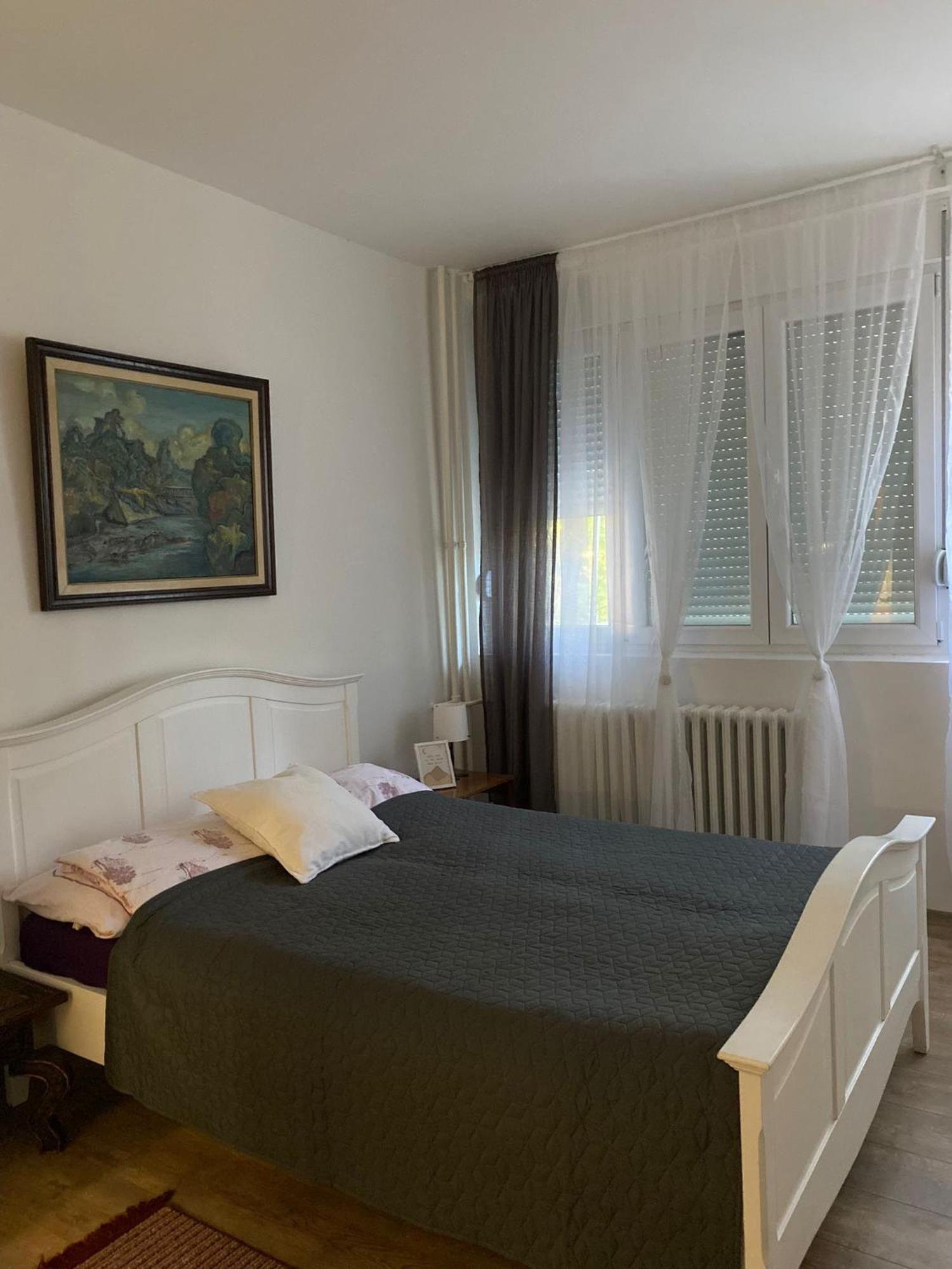 Vanja Apartman Vrsac Exterior photo