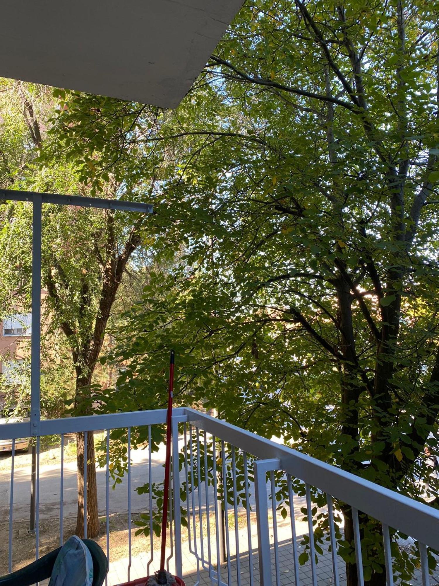 Vanja Apartman Vrsac Exterior photo